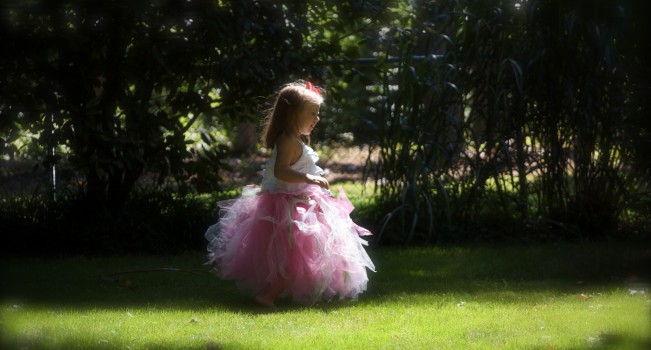 garden fairy garden fairy