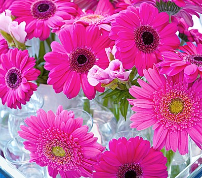 birthday rush flowers birthday rush flowers