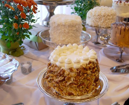 parrott_dessert_2 parrott_dessert_2