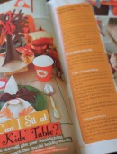 Thanksgiving Article