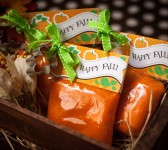 happy fall toppers-12