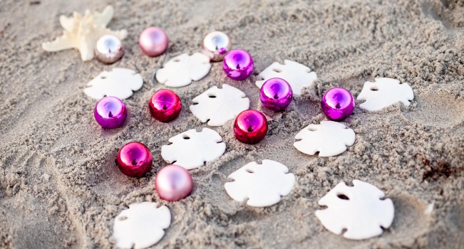 beach christmas web-20